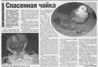 Article about Dr. Gleb Sudarikov 